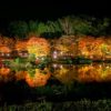 紅葉の修善寺のおすすめスポットは？ライトアップが凄い！温泉場近辺のスポット紹介